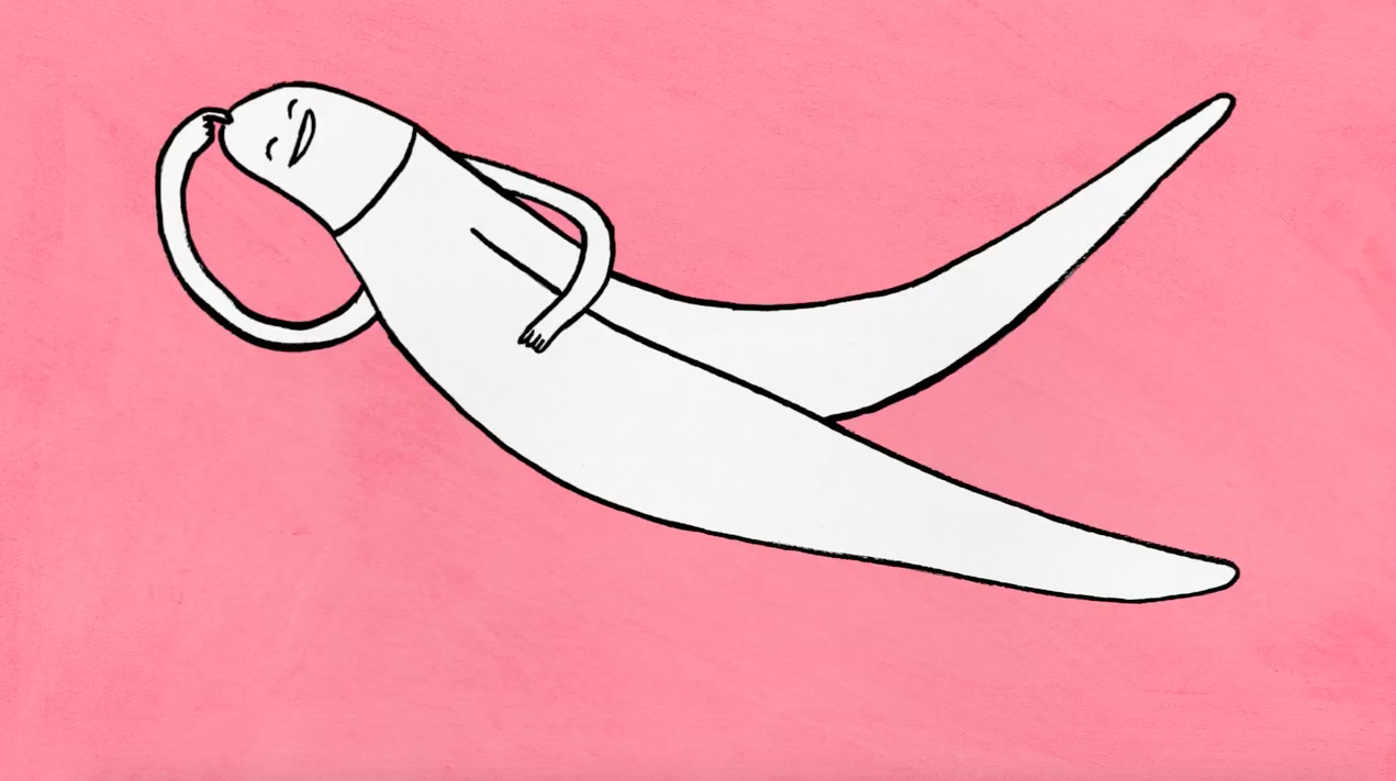 Cet Adorable Petit Film D Animation De Minutes Vous Dit Tout Sur Le Clitoris