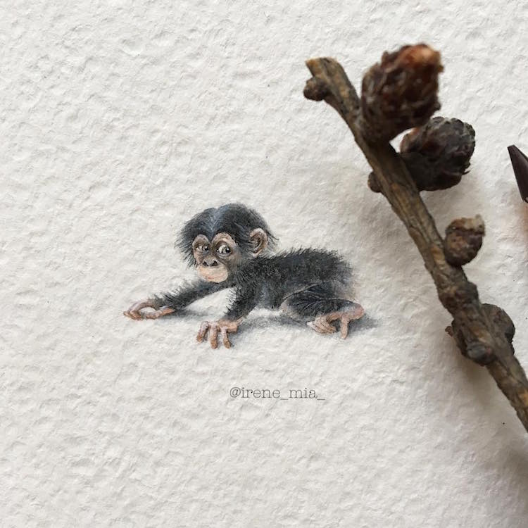 Elle dessine des miniatures d'animaux aux détails mignons et impressionnants