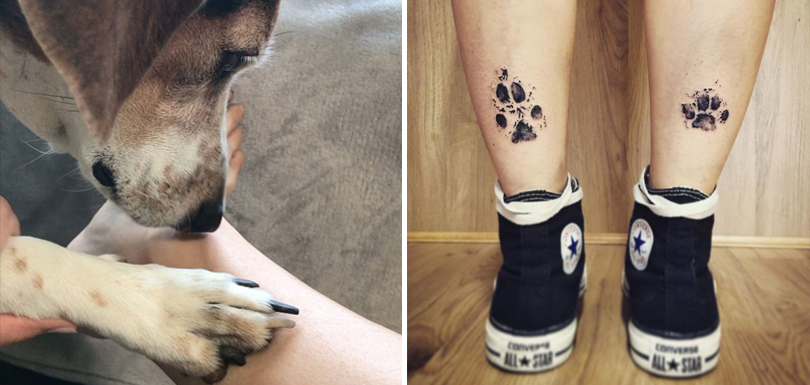 des tatouages d'empreintes de pattes de chiens - 2Tout2Rien  Patte de chien,  Tatouage patte de chien, Idées tatouage animaux
