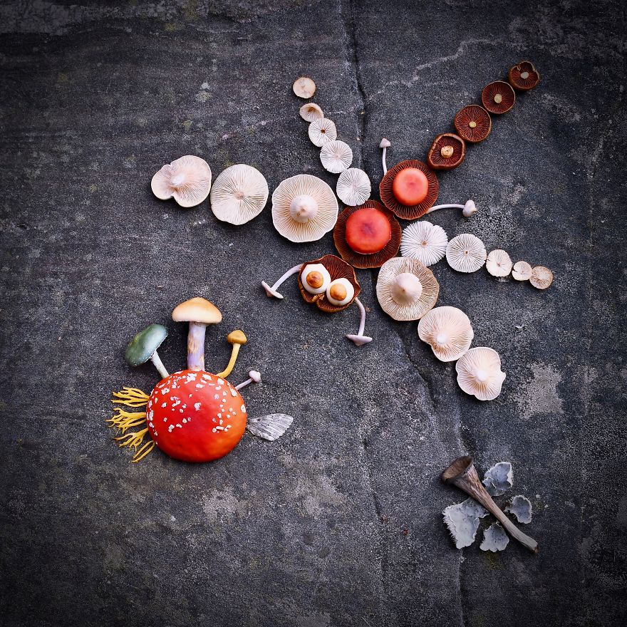 Saara Alhopuro imagine des compositions artistiques avec des champignons