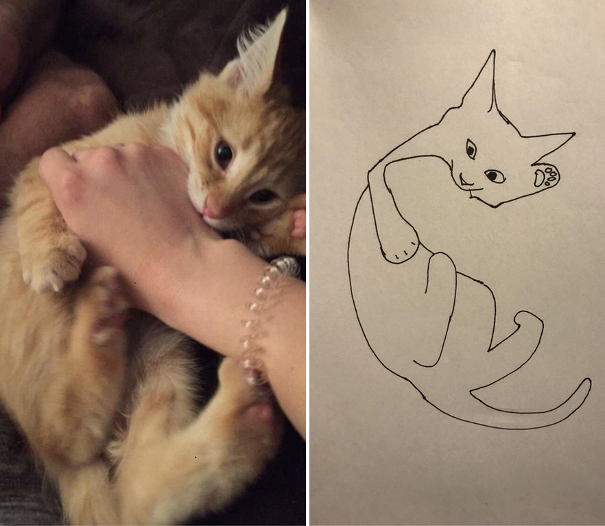 Minimal Cat Art : les chats minimalistes dessinés sur Reddit