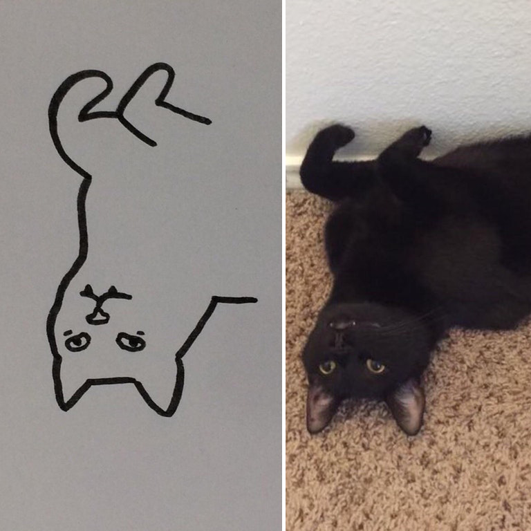 Minimal Cat Art : les chats minimalistes dessinés sur Reddit