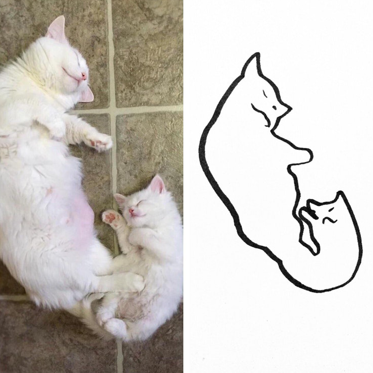 Minimal Cat Art : les chats minimalistes dessinés sur Reddit