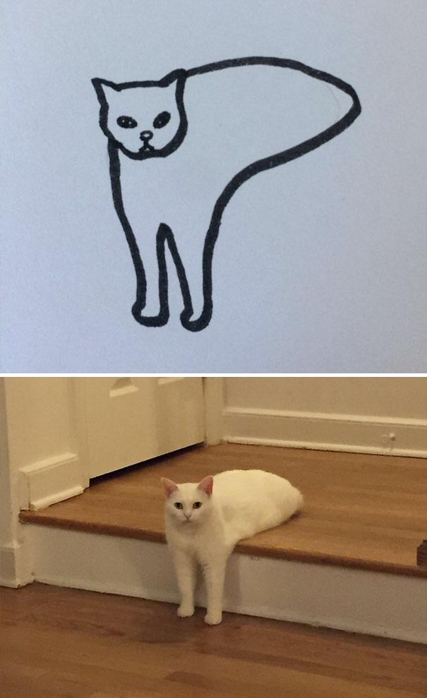 Minimal Cat Art : les chats minimalistes dessinés sur Reddit