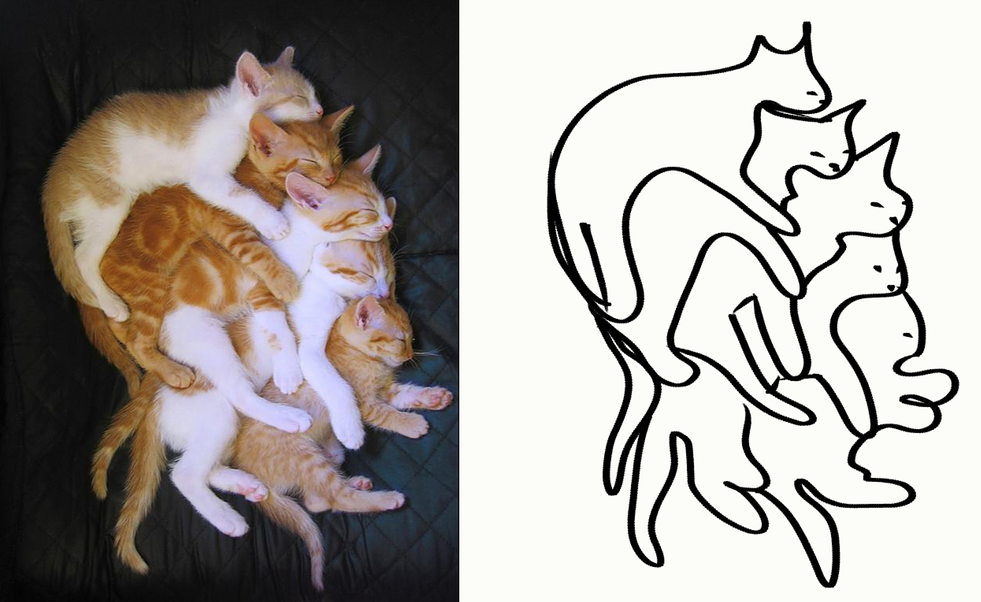Minimal Cat Art : les chats minimalistes dessinés sur Reddit
