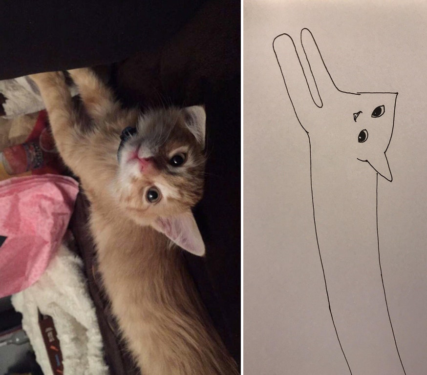 Minimal Cat Art : les chats minimalistes dessinés sur Reddit