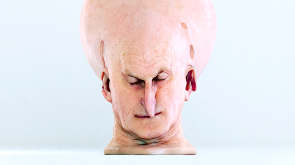 Les corps et visages flexibles de Simon Christoph Krenn