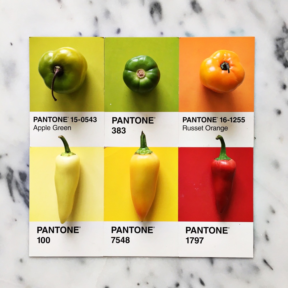 Lucia Litman fait correspondre des aliments aux couleurs du nuancier Pantone