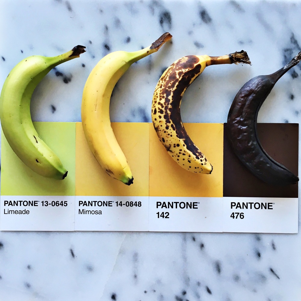 Lucia Litman fait correspondre des aliments aux couleurs du nuancier Pantone