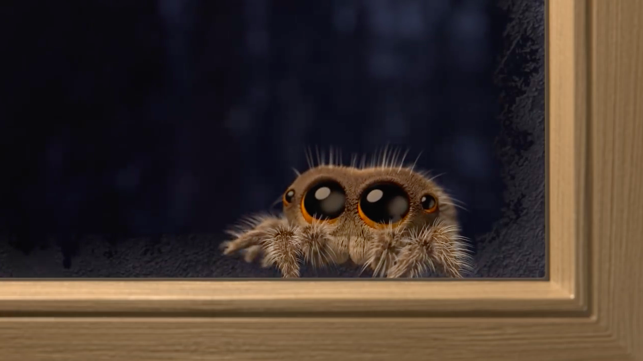 Lucas, l'araignée la plus mignonne du web est de retour en vidéo