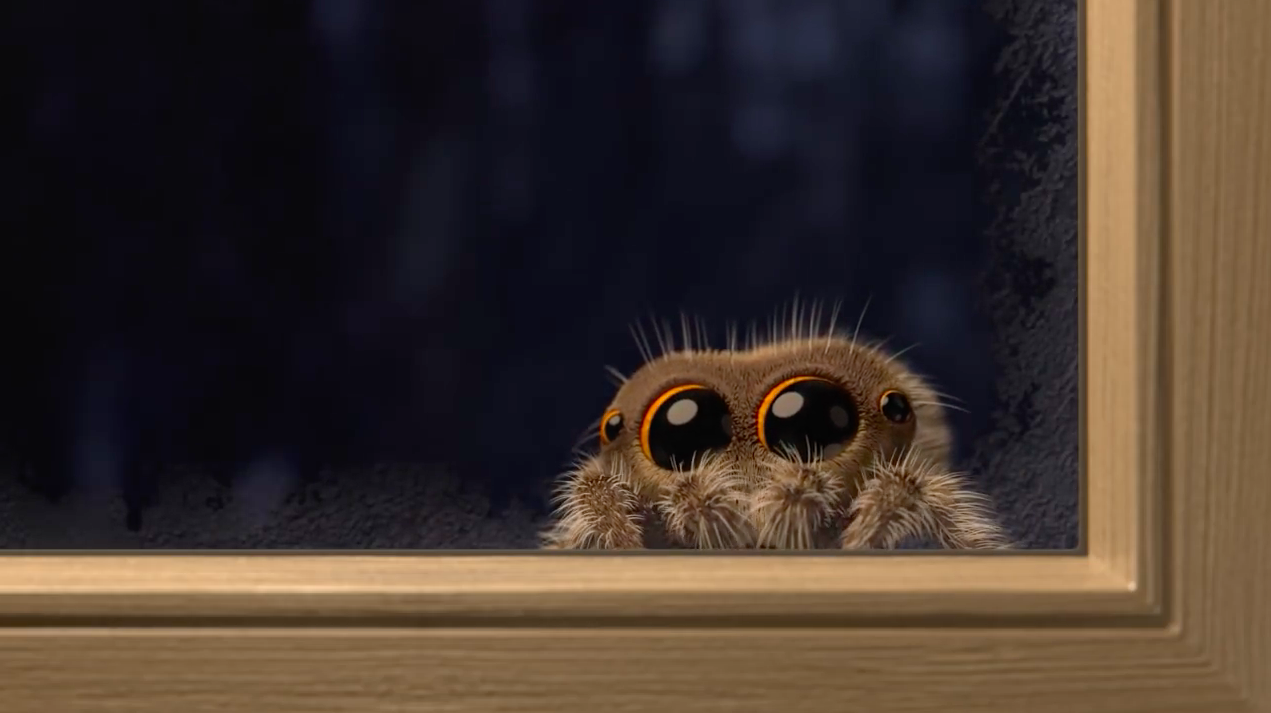 Lucas, l'araignée la plus mignonne du web est de retour en vidéo