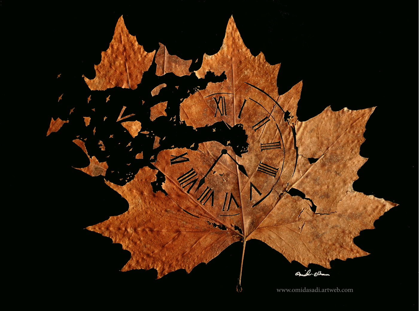 Omid Asadi sculpte des scènes étonnantes sur des feuilles d'arbres