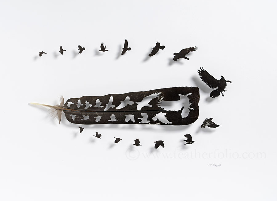 Chris Maynard réalise d'étonnantes mises en scène en sculptant des plumes d'oiseaux