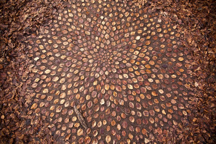 James Brunt joue avec les feuilles et les pierres pour créer des motifs hypnotisants