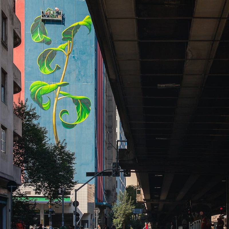 Mona Caron peint des plantes géantes sur les immeubles dans le monde entier