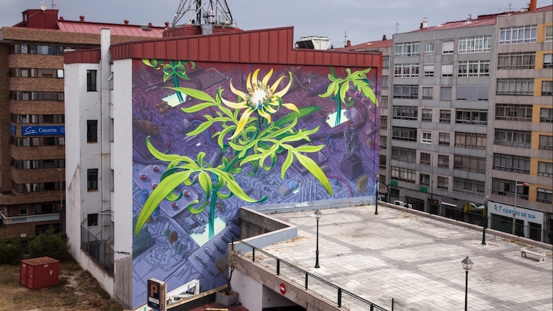 Mona Caron peint des plantes géantes sur les immeubles dans le monde entier