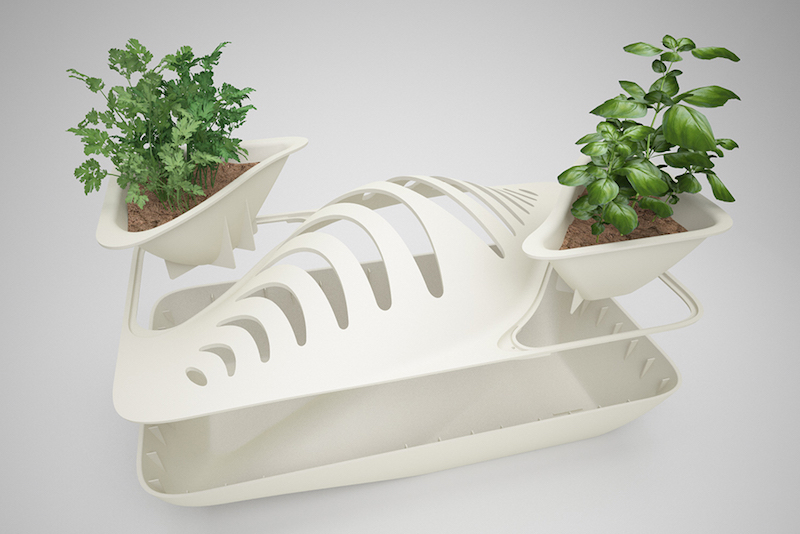 Faire pousser des plantes en faisant la vaisselle avec ce concept d'égouttoir