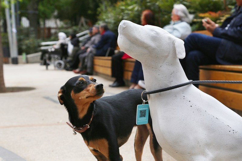 À Barcelone, des statues sensibilisent à l'adoption des chiens abandonnés
