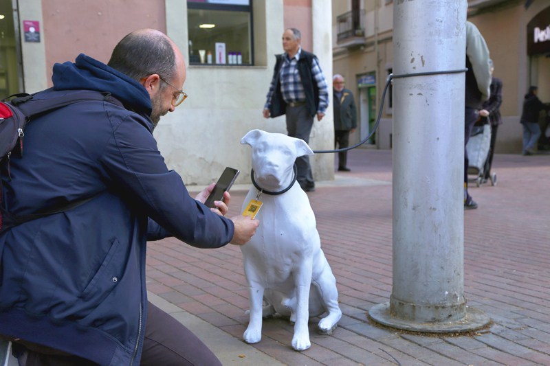À Barcelone, des statues sensibilisent à l'adoption des chiens abandonnés