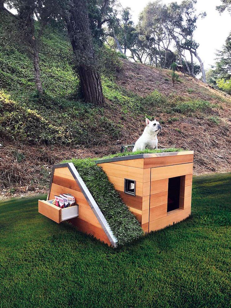 This creative studio has created the ultimate niche for dogs (with integrated terrace)