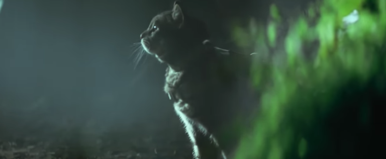 The trailer of the new Tomb Raider parodied to perfection with dogs and cats