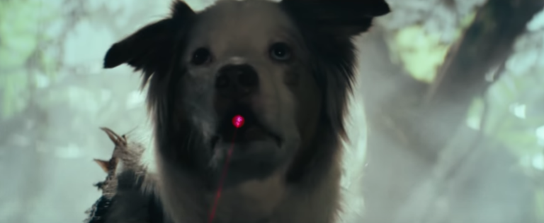 The trailer of the new Tomb Raider parodied to perfection with dogs and cats