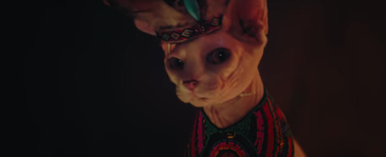 The trailer of the new Tomb Raider parodied to perfection with dogs and cats