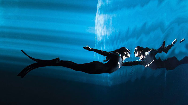 Voici les plus belles photos sous-marines de 2018 selon le Scuba Diving Magazine ! By MELISSA  N. (Creapills.com) Plus-belles-photos-concours-suba-diving-2018-10