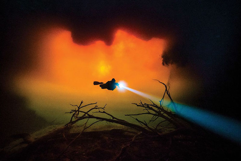 Voici les plus belles photos sous-marines de 2018 selon le Scuba Diving Magazine ! By MELISSA  N. (Creapills.com) Plus-belles-photos-concours-suba-diving-2018-7