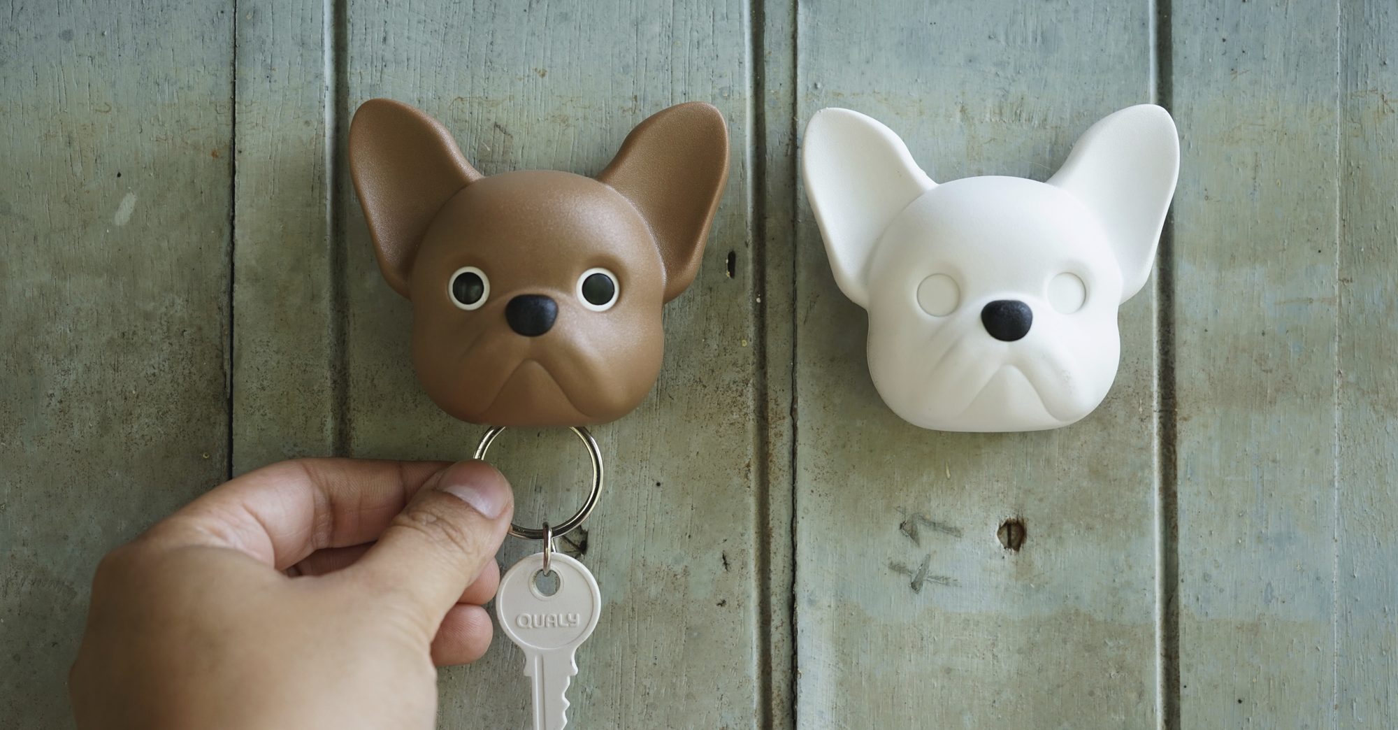 Ces porte-clefs muraux façon animaux mignons ouvrent les yeux quand vous y  déposez vos clefs