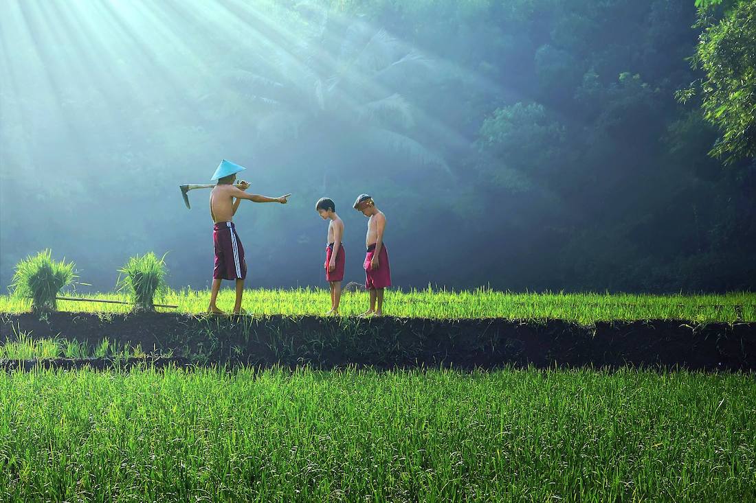 Indonésie : ce photographe capture le quotidien de son village avec des clichés d’une beauté à couper le souffle ! By Victor M.  Photographe-indonesie-vie-quotidienne-sukron-mamun-1