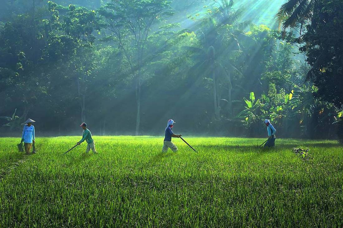 Indonésie : ce photographe capture le quotidien de son village avec des clichés d’une beauté à couper le souffle ! By Victor M.  Photographe-indonesie-vie-quotidienne-sukron-mamun-22