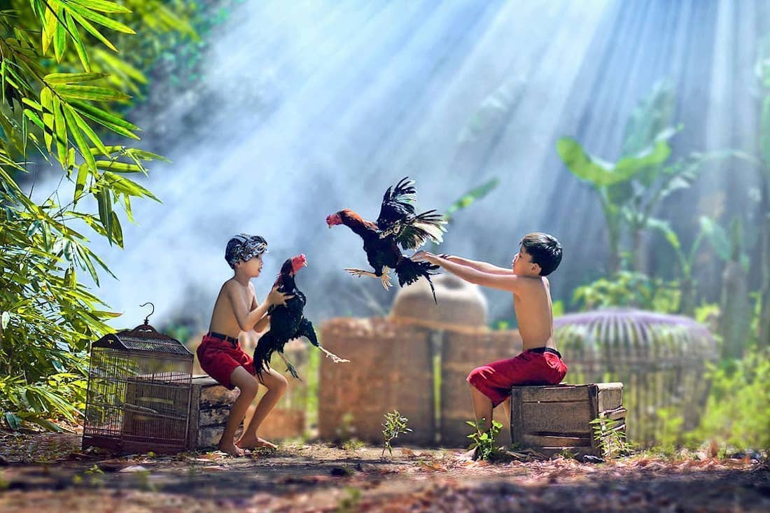 Indonésie : ce photographe capture le quotidien de son village avec des clichés d’une beauté à couper le souffle ! By Victor M.  Photographe-indonesie-vie-quotidienne-sukron-mamun-23