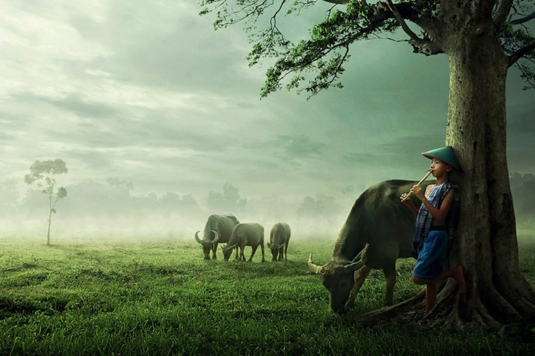 Indonésie : ce photographe capture le quotidien de son village avec des clichés d’une beauté à couper le souffle ! By Victor M.  Photographe-indonesie-vie-quotidienne-sukron-mamun-32