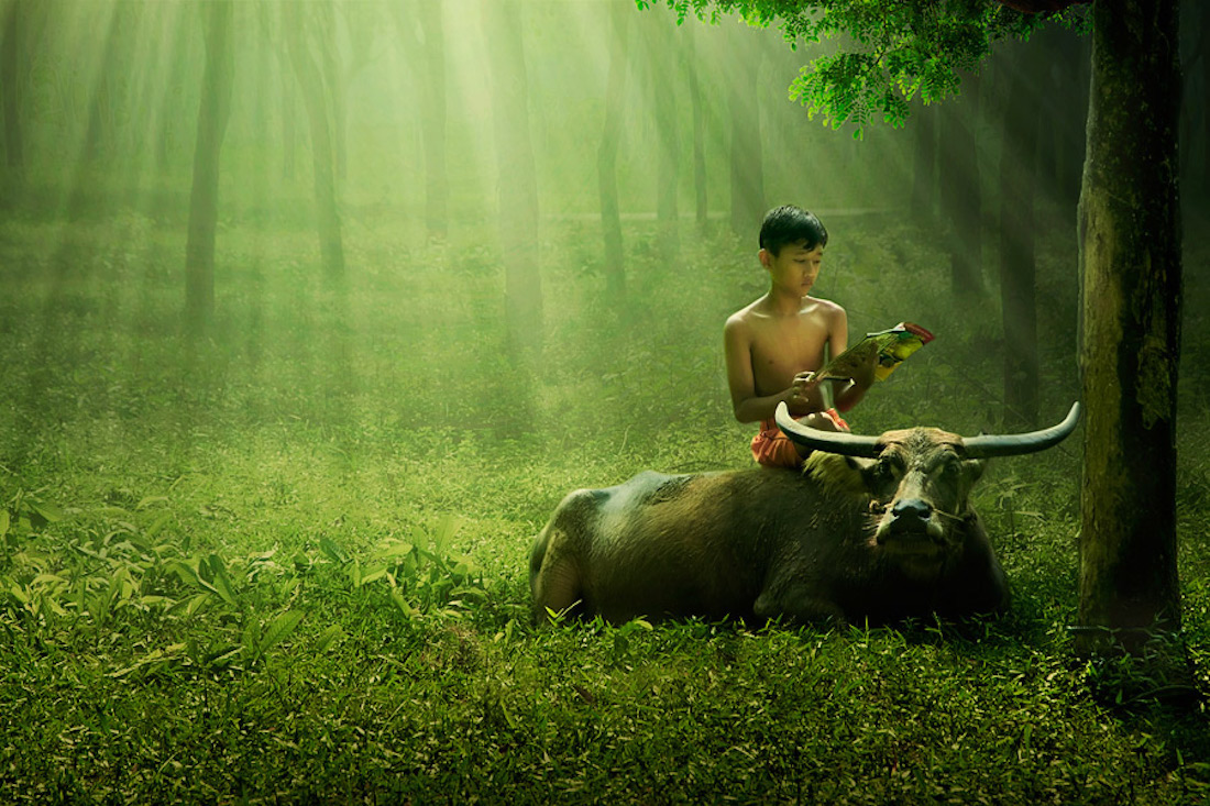 Indonésie : ce photographe capture le quotidien de son village avec des clichés d’une beauté à couper le souffle ! By Victor M.  Photographe-indonesie-vie-quotidienne-sukron-mamun-9