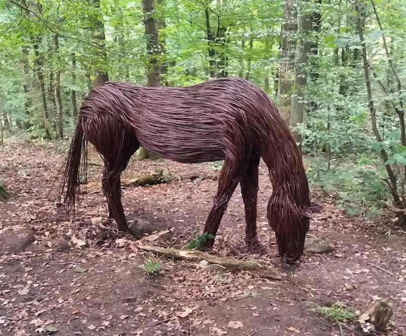 Cette artiste réalise des sculptures étonnantes et féériques en tressant des tiges de saule ! By  Victor M. Anna-the-willow-sculptures-bois-9