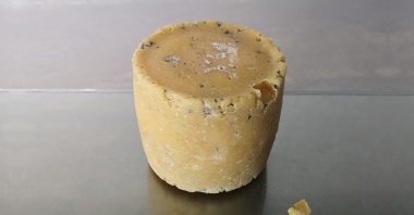 Un fromage créé à partir de bactéries humaines