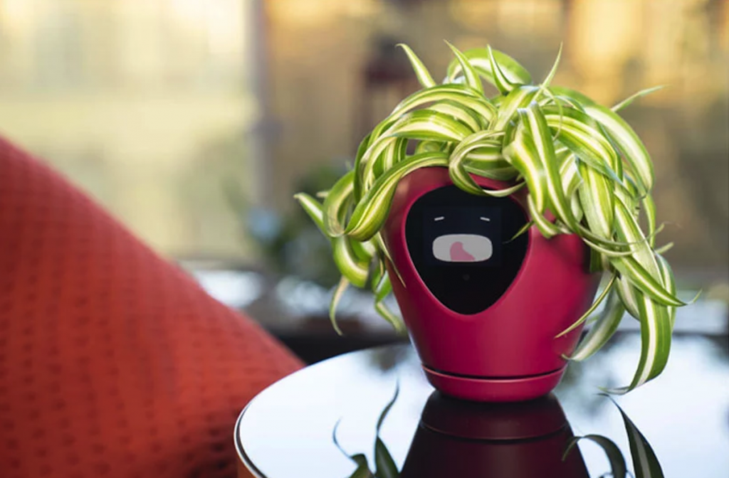 Ce pot intelligent utilise des expressions faciales pour exprimer les