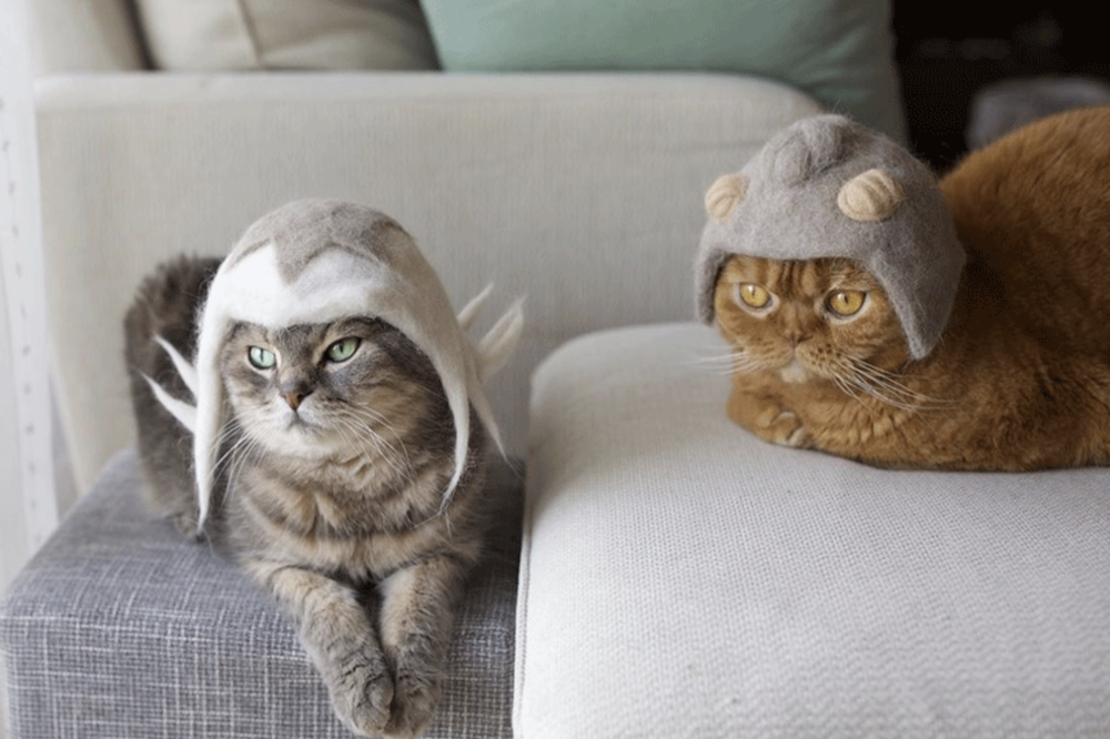 Ce couple recycle les poils de leurs chats pour leur confectionner  d'adorables chapeaux
