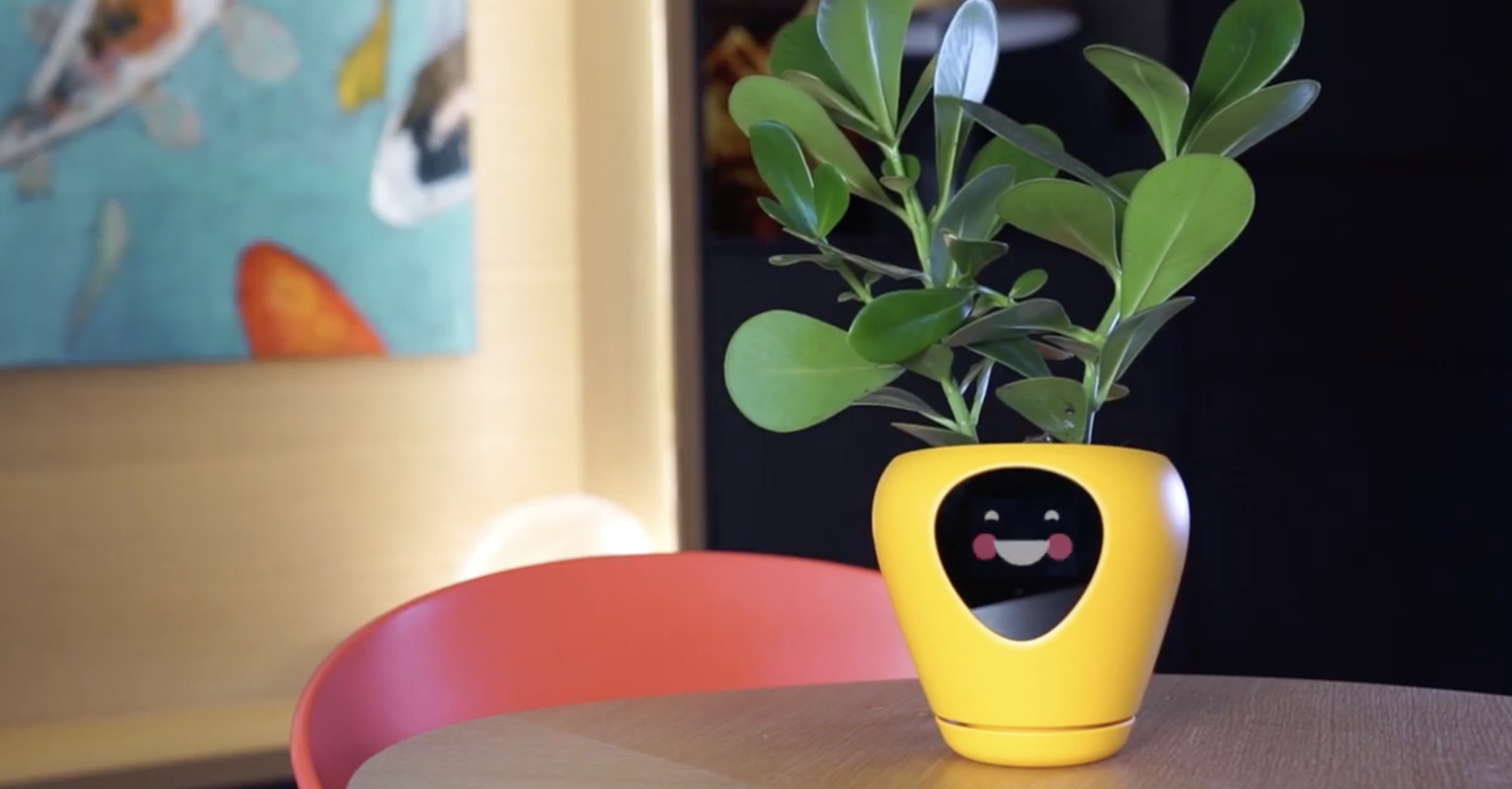 Ce pot intelligent utilise des expressions faciales pour exprimer les