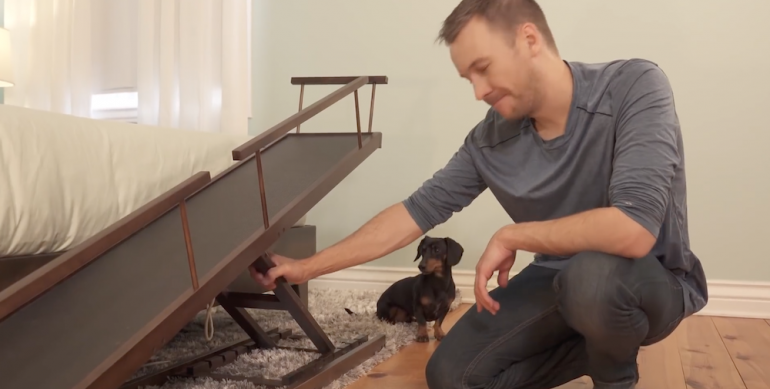 Cette rampe aide votre chien à monter et descendre facilement de votre lit