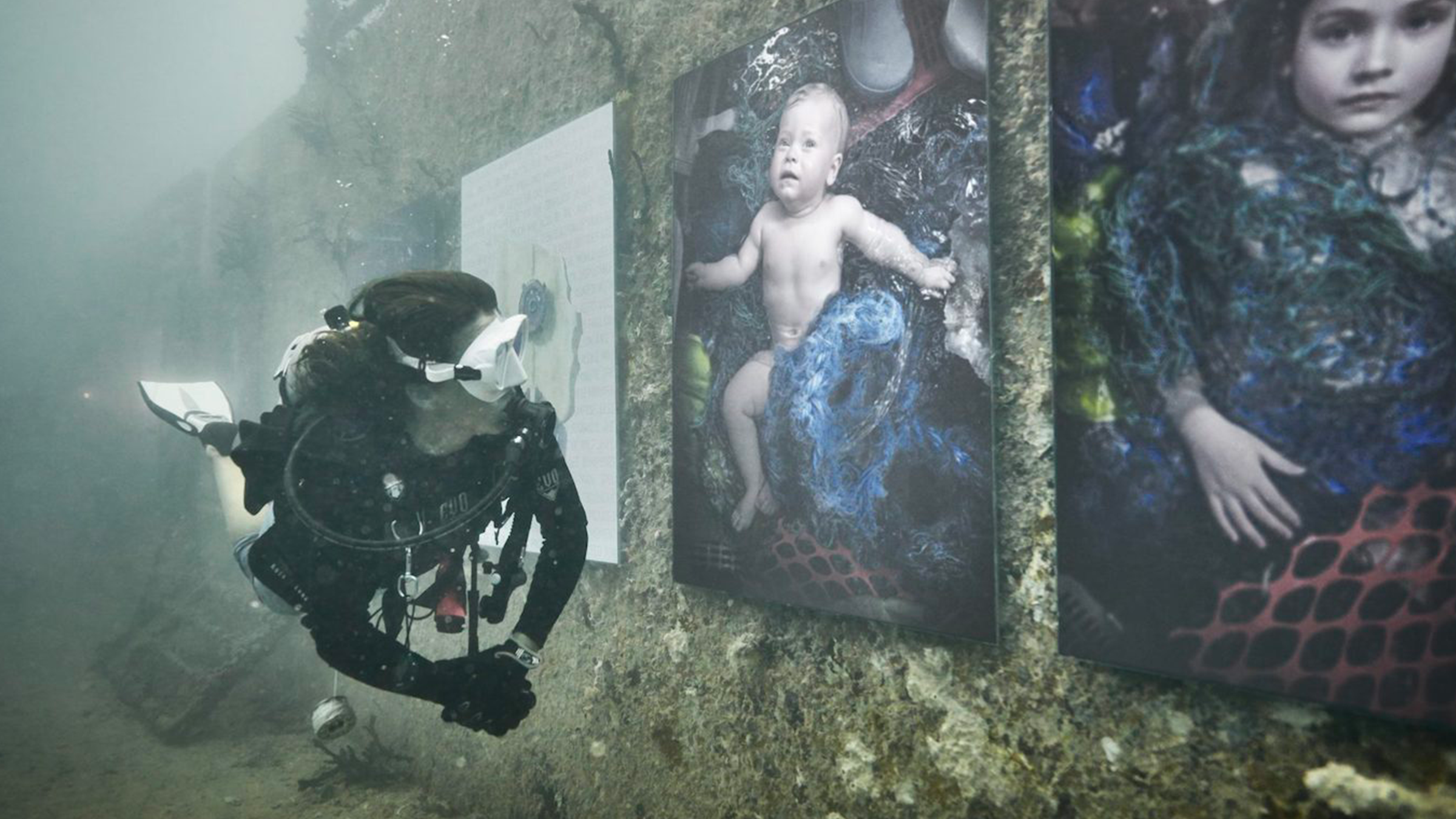 Пробыл под водой 100 лет. Андреас Франке подводная выставка. Подводная фотография выставка. Андреас Франке мир под водой. Выставка 