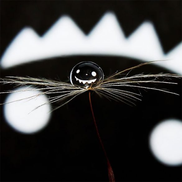 Cette photographe spécialiste de la macro capture le reflet des images dans une goutte d