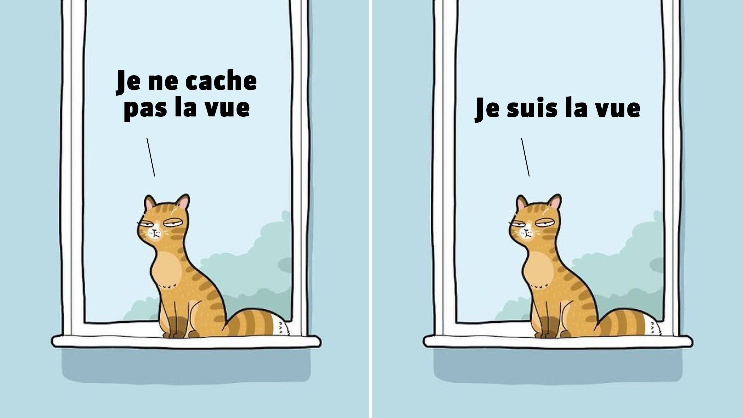 Cet illustrateur raconte avec humour le quotidien de vivre avec un chat