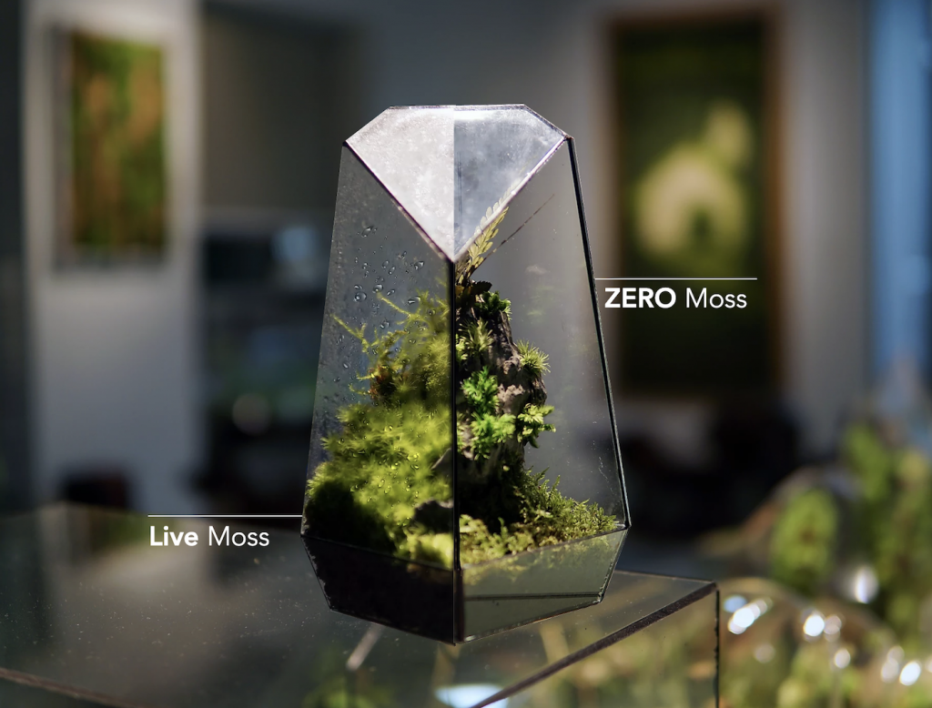 Ces terrariums design inspirés de la nature cachent des mini