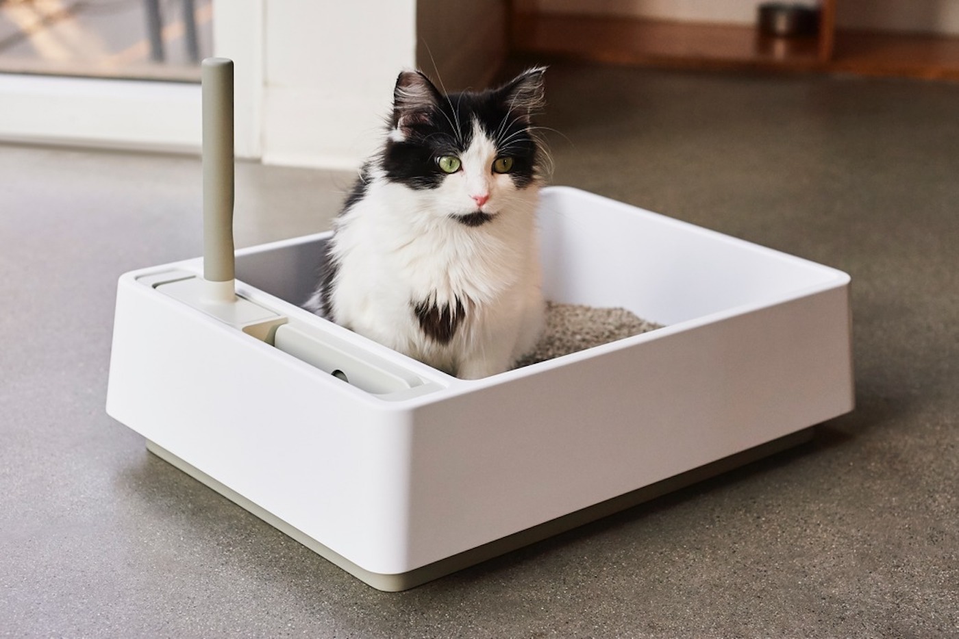 Ces designers "révolutionnent" la litière pour chat avec un design minimaliste et épuré