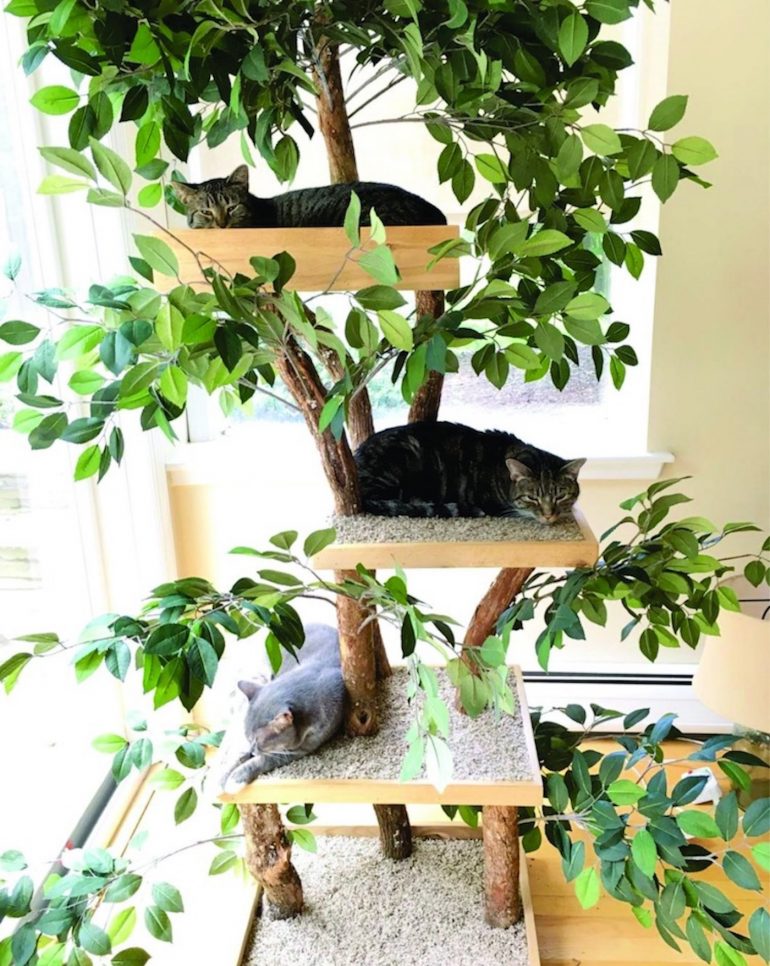 Des arbres à chat conçus comme de vrais arbres pour végétaliser votre