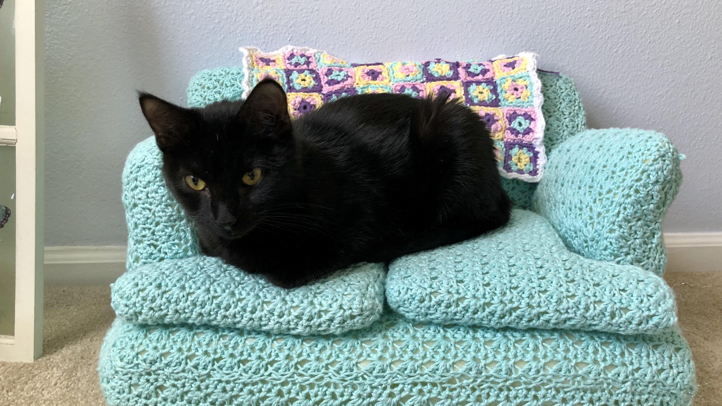 Des mini-canapés pour chat à réaliser soi-même en crochet pendant le confinement