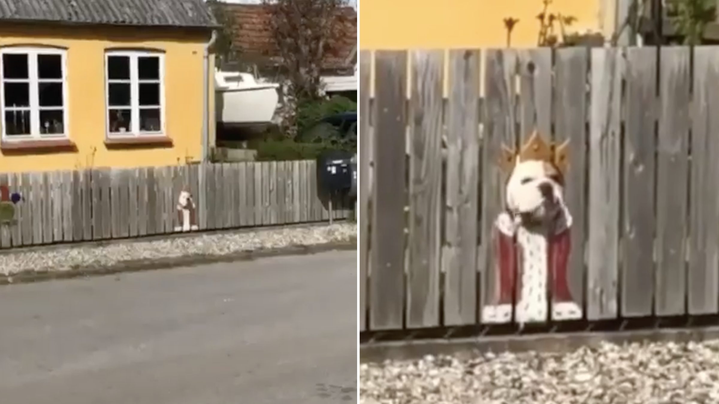 Elle peint sa clôture pour créer un "costume" à son chien qui adore regarder à travers