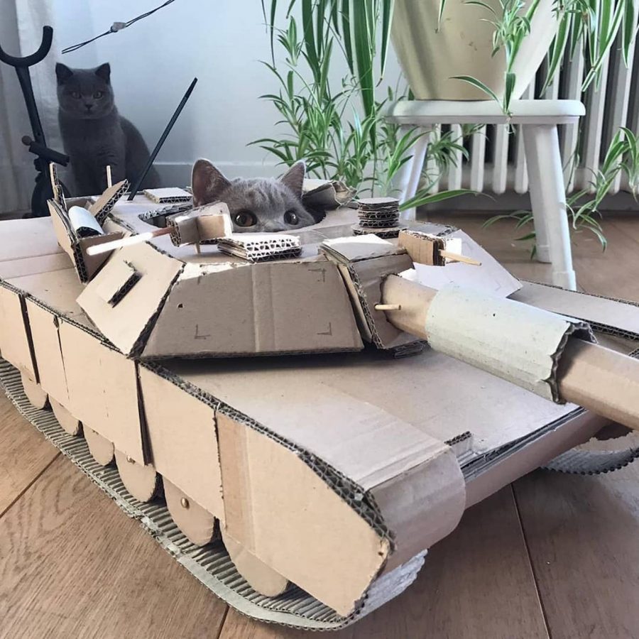 Confinement Les Internautes Fabriquent Des Tanks En Carton Pour Leur confinement-les-internautes-fabriquent-des-tanks-en-carton-pour-leur